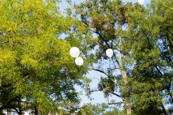 空气气球背景 大堆氦气球 生日快乐 惊喜度假 天空背景下不同大小的蓝白气球的喜庆背景 — 图库照片