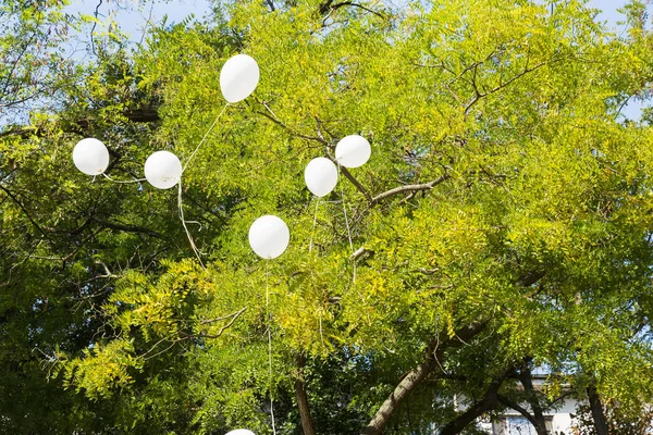 Fundo Balões Grande Grupo Balões Hélio Feliz Aniversário Surpresa Para — Fotografia de Stock
