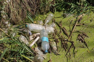 Küçük Nehri'ne dökülen çöp. Boş kanal su kirli plastik şişeler şamandıra kullanılır. Evin diğer çöplerini attığınız çevre kirliliği. Ekolojik sorun. Çeşitli çöp ile kontamine Nehri