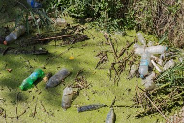 Küçük Nehri'ne dökülen çöp. Boş kanal su kirli plastik şişeler şamandıra kullanılır. Evin diğer çöplerini attığınız çevre kirliliği. Ekolojik sorun. Çeşitli çöp ile kontamine Nehri