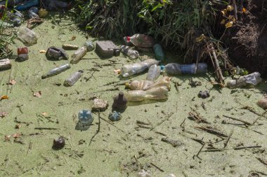 Küçük Nehri'ne dökülen çöp. Boş kanal su kirli plastik şişeler şamandıra kullanılır. Evin diğer çöplerini attığınız çevre kirliliği. Ekolojik sorun. Çeşitli çöp ile kontamine Nehri