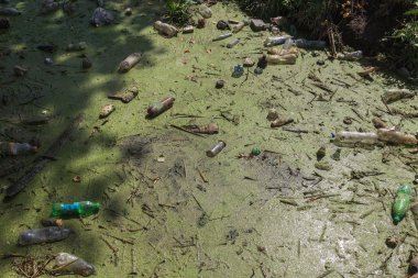 Küçük Nehri'ne dökülen çöp. Boş kanal su kirli plastik şişeler şamandıra kullanılır. Evin diğer çöplerini attığınız çevre kirliliği. Ekolojik sorun. Çeşitli çöp ile kontamine Nehri