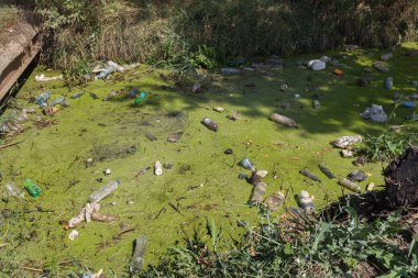 Küçük Nehri'ne dökülen çöp. Boş kanal su kirli plastik şişeler şamandıra kullanılır. Evin diğer çöplerini attığınız çevre kirliliği. Ekolojik sorun. Çeşitli çöp ile kontamine Nehri