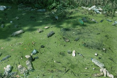 Küçük Nehri'ne dökülen çöp. Boş kanal su kirli plastik şişeler şamandıra kullanılır. Evin diğer çöplerini attığınız çevre kirliliği. Ekolojik sorun. Çeşitli çöp ile kontamine Nehri