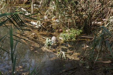 Küçük Nehri'ne dökülen çöp. Boş kanal su kirli plastik şişeler şamandıra kullanılır. Evin diğer çöplerini attığınız çevre kirliliği. Ekolojik sorun. Çeşitli çöp ile kontamine Nehri