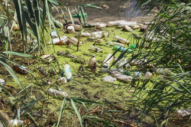 Küçük Nehri'ne dökülen çöp. Boş kanal su kirli plastik şişeler şamandıra kullanılır. Evin diğer çöplerini attığınız çevre kirliliği. Ekolojik sorun. Çeşitli çöp ile kontamine Nehri