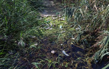 Küçük Nehri'ne dökülen çöp. Boş kanal su kirli plastik şişeler şamandıra kullanılır. Evin diğer çöplerini attığınız çevre kirliliği. Ekolojik sorun. Çeşitli çöp ile kontamine Nehri