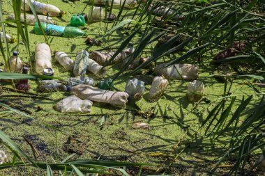 Küçük Nehri'ne dökülen çöp. Boş kanal su kirli plastik şişeler şamandıra kullanılır. Evin diğer çöplerini attığınız çevre kirliliği. Ekolojik sorun. Çeşitli çöp ile kontamine Nehri