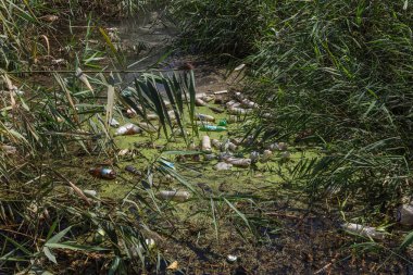 Küçük Nehri'ne dökülen çöp. Boş kanal su kirli plastik şişeler şamandıra kullanılır. Evin diğer çöplerini attığınız çevre kirliliği. Ekolojik sorun. Çeşitli çöp ile kontamine Nehri
