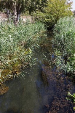 Enkaz ve kirli Atıksu büyük miktarda gölde alg hızlı büyüme neden olur. Su kirliliği. Ekolojik sorun. Bir açık şehir kanalda kanalizasyon kanalizasyon kirli su akar