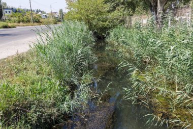 Enkaz ve kirli Atıksu büyük miktarda gölde alg hızlı büyüme neden olur. Su kirliliği. Ekolojik sorun. Bir açık şehir kanalda kanalizasyon kanalizasyon kirli su akar