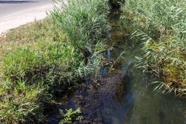 Enkaz ve kirli Atıksu büyük miktarda gölde alg hızlı büyüme neden olur. Su kirliliği. Ekolojik sorun. Bir açık şehir kanalda kanalizasyon kanalizasyon kirli su akar