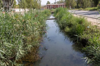 Enkaz ve kirli Atıksu büyük miktarda gölde alg hızlı büyüme neden olur. Su kirliliği. Ekolojik sorun. Bir açık şehir kanalda kanalizasyon kanalizasyon kirli su akar