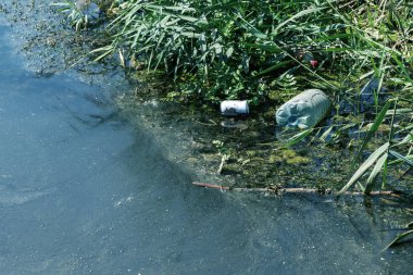 Küçük Nehri'ne dökülen çöp. Boş kanal su kirli plastik şişeler şamandıra kullanılır. Evin diğer çöplerini attığınız çevre kirliliği. Ekolojik sorun. Çeşitli çöp ile kontamine Nehri