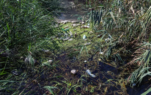 Küçük Nehri'ne dökülen çöp. Boş kanal su kirli plastik şişeler şamandıra kullanılır. Evin diğer çöplerini attığınız çevre kirliliği. Ekolojik sorun. Çeşitli çöp ile kontamine Nehri
