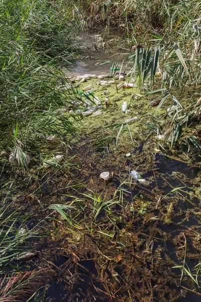 Küçük Nehri'ne dökülen çöp. Boş kanal su kirli plastik şişeler şamandıra kullanılır. Evin diğer çöplerini attığınız çevre kirliliği. Ekolojik sorun. Çeşitli çöp ile kontamine Nehri