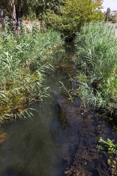 Large amount of debris and dirty wastewater causes rapid growth of algae in lake. Water pollution. Ecological problem. Sewage sewage dirty water flows in an open city channel