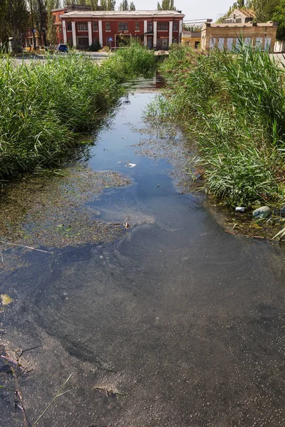 Large amount of debris and dirty wastewater causes rapid growth of algae in lake. Water pollution. Ecological problem. Sewage sewage dirty water flows in an open city channel