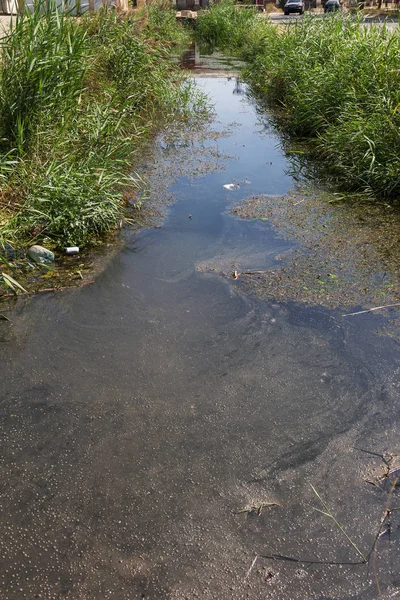 Gemorst Afval Aan Riviertje Lege Gebruikt Vuile Plastic Flessen Float — Stockfoto