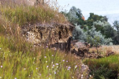 Karadeniz kıyısındaki heyelan bölgesi. Deniz taşı kabuğu. Yağmur mevsiminde doğal afetler bölgesi. Büyük toprak kütleleri tepenin yamacında kayıp evleri yok ediyor. Heyelan - yaşam tehdidi