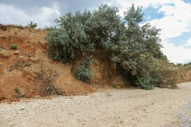 Karadeniz kıyısındaki heyelan bölgesi. Deniz taşı kabuğu. Yağmur mevsiminde doğal afetler bölgesi. Büyük toprak kütleleri tepenin yamacında kayıp evleri yok ediyor. Heyelan - yaşam tehdidi