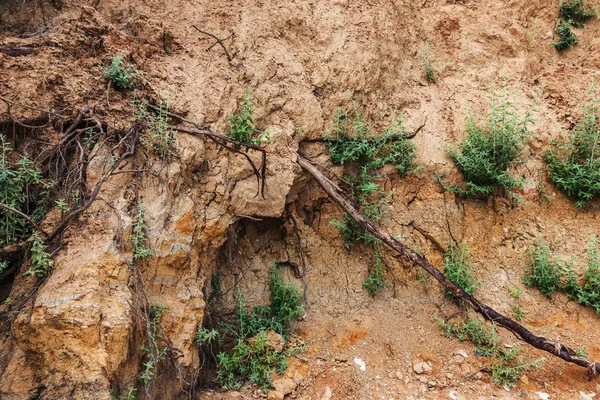 Karadeniz Kıyısındaki Heyelan Bölgesi Deniz Taşı Kabuğu Yağmur Mevsiminde Doğal — Stok fotoğraf