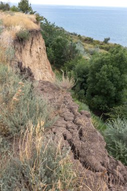 Son kasırga ve deprem sonra yeryüzünde Yalı heyelan bölgesinde derin çatlaklar. Dünya'büyük tehlikeli çatlaklar. Çığ ve toprak hareketi tehlikesi. Web toprağa çatlaklar