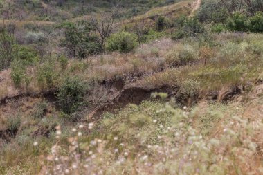 Son kasırga ve deprem sonra yeryüzünde Yalı heyelan bölgesinde derin çatlaklar. Dünya'büyük tehlikeli çatlaklar. Çığ ve toprak hareketi tehlikesi. Web toprağa çatlaklar