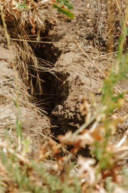 Son kasırga ve deprem sonra yeryüzünde Yalı heyelan bölgesinde derin çatlaklar. Dünya'büyük tehlikeli çatlaklar. Çığ ve toprak hareketi tehlikesi. Web toprağa çatlaklar