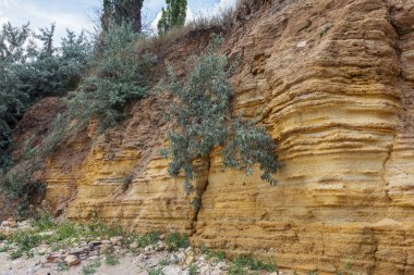 Son kasırga ve deprem sonra yeryüzünde Yalı heyelan bölgesinde derin çatlaklar. Dünya'büyük tehlikeli çatlaklar. Çığ ve toprak hareketi tehlikesi. Web toprağa çatlaklar