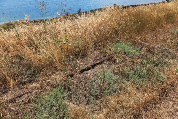 Deep Retak Bumi Zona Tanah Longsor Pantai Laut Setelah Badai — Stok Foto