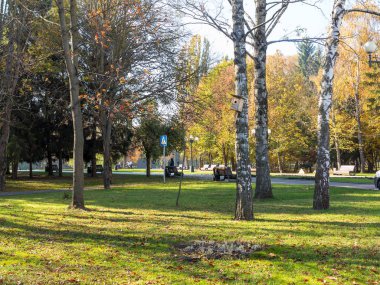 Renkli parlak sonbahar Şehir Parkı. Yaprakları yere düşer. Sonbahar orman sahne sıcak renkler ve kaplı patika ile önde gelen sahne bırakır. Şaşırtıcı vitrine ormana gidiyor bir iz sonbahar renkleri.