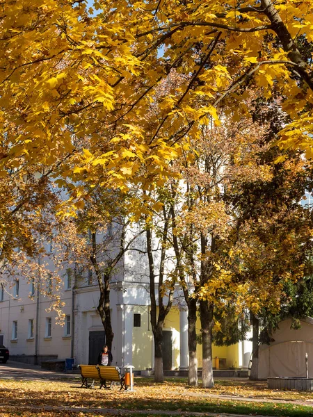 Belgorod Rusland Oktober 2018 Herfst Stadspark Verbazingwekkend Fall Kleuren Bladeren — Stockfoto