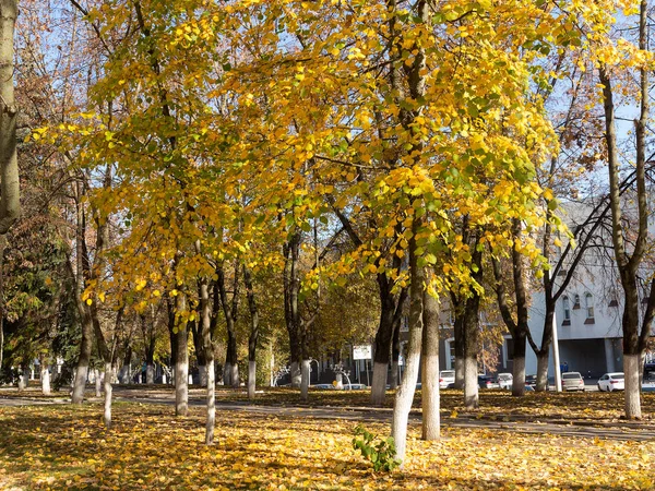 Belgorod, Rusya - 17 Ekim 2018: sonbahar renkleri şaşırtıcı sonbahar Şehir Parkı. Yaprakları yere düşer. Renkli sonbahar sahne sıcak renkler ve patika ile önde gelen yapraklarda kaplı. İnsanlar parkta yürüyüş