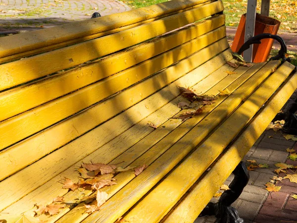 在城市公园的长凳上落下明亮的黄叶 — 图库照片