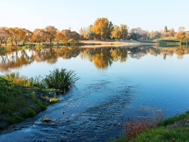 Otantik sonbahar manzara gölette Şehir Parkı. Sarı yapraklar sonbaharda