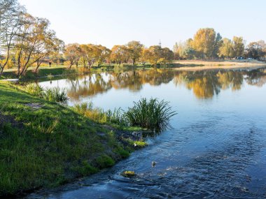 Otantik sonbahar manzara gölette Şehir Parkı. Sarı yapraklar sonbaharda