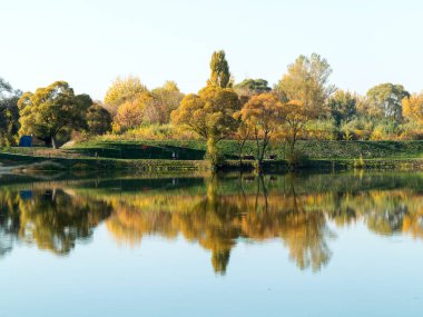 Otantik sonbahar manzara gölette Şehir Parkı. Sarı yapraklar sonbaharda