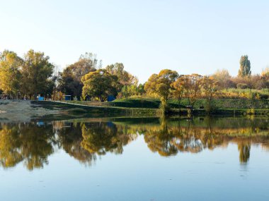 Otantik sonbahar manzara gölette Şehir Parkı. Sarı yapraklar sonbaharda