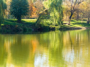 Otantik sonbahar manzara gölette Şehir Parkı. Sarı yapraklar sonbaharda
