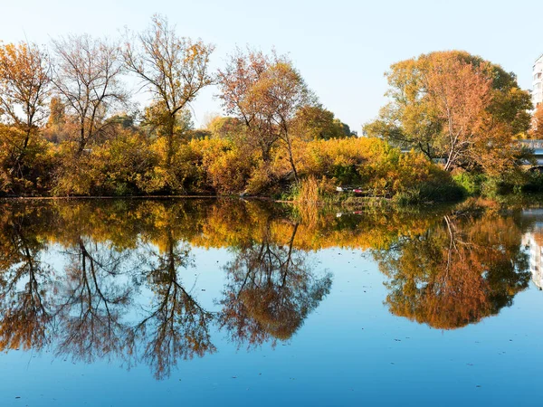 Autentiska hösten landskap pond i stadsparken. Gula löven faller — Stockfoto