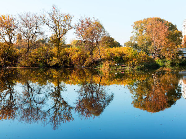 Authentic autumn landscape pond in city park. Yellow leaves fall