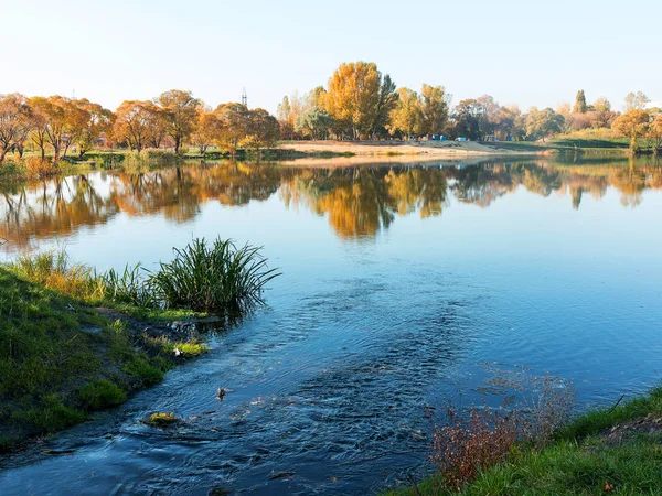 Autentico stagno paesaggio autunnale nel parco cittadino. Foglie gialle cadono — Foto Stock