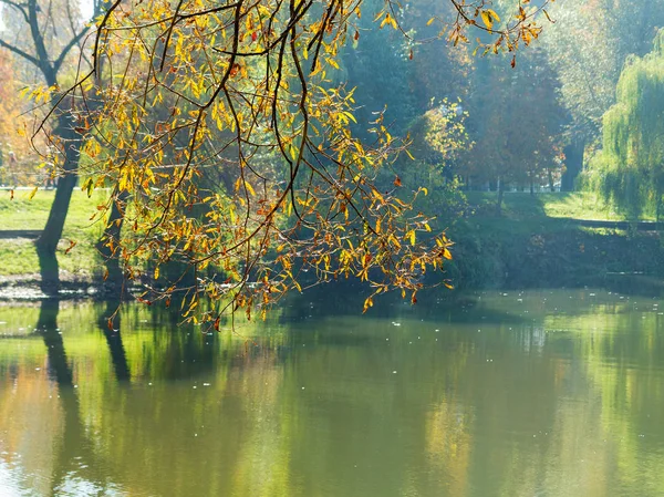 Autentico stagno paesaggio autunnale nel parco cittadino. Foglie gialle cadono — Foto Stock