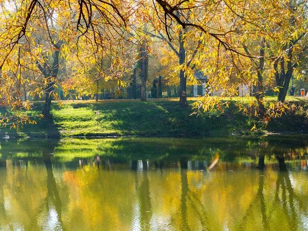 Autentico stagno paesaggio autunnale nel parco cittadino. Foglie gialle cadono — Foto Stock