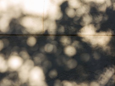 Sıvalı arka plan üzerine düşen gölge. Duvarda gölge güneş ışınları. Bej endüstriyel arka plan. Kopya alanı.