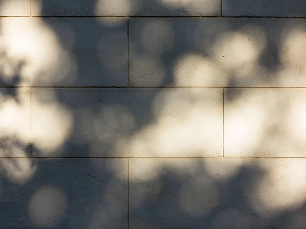 Stín Padá Omítnuté Pozadí Paprsky Slunce Stín Zdi Béžové Průmyslové — Stock fotografie