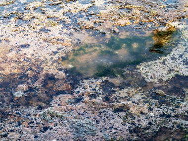 Tam çerçeve bazı son derece kirli suları al. Deniz suyu kirli. Su üzerinde kir. Kirli yağ lekeleri yüzeyi deniz suyu kanalizasyon akış sonucu olarak kirlenmiş. Ekolojik sorun. Banyo yasak