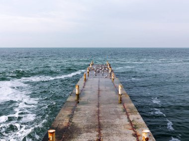 Martılar bir dalgakıran veya taş deniz iskele tarafta dinleniyor. Kış günü, deniz manzarası.