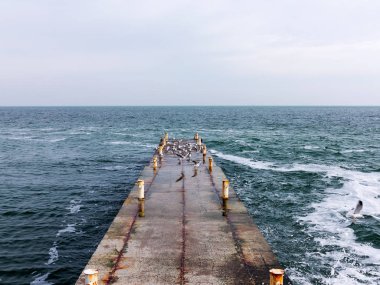 Martılar bir dalgakıran veya taş deniz iskele tarafta dinleniyor. Kış günü, deniz manzarası.